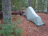 53 Bwca 2008 