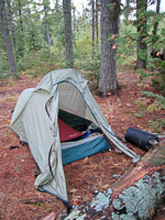 54 Bwca 2008 