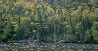 028 Bwca 2011 