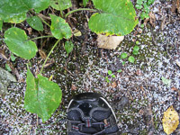 040 Bwca 2011 Snow
