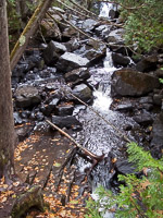 049 Bwca 2011 