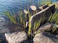 055 Bwca 2011 