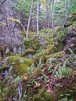 074 Bwca 2011 