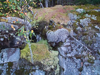 079 Bwca 2011 