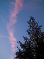 082 Bwca 2011 