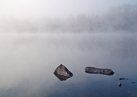 098 Bwca 2011 
