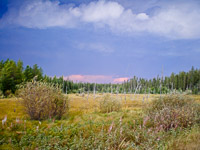 011 Bwca 2011 Ross 