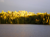 022 Bwca 2011 Ross 