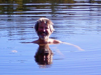 042 Bwca 2011 Ross Swimming