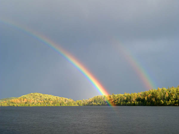 Canoe Lake Rainbows