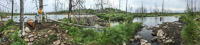0001 Bwca 2018 Panorama Results Of Pagami Fire 2011
