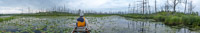 0053 Bwca 2018 Panorama Results Of Pagami Fire 2011