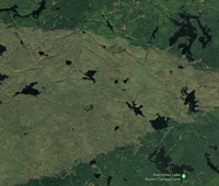 0059 Bwca 2018 Results Of Pagami Fire 2011