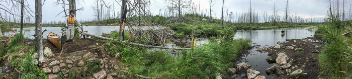 Beaver Dam Portage & Burned Area