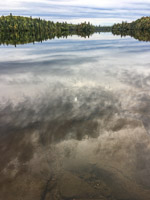 0008 Bwca 2019 