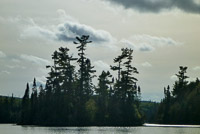 0025 Bwca 2019 Ts4 