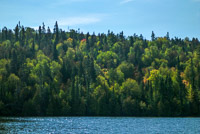 0046 Bwca 2019 Ts4 