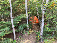 051 Bwca 2022 