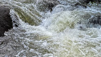0089 Bwca 2025 