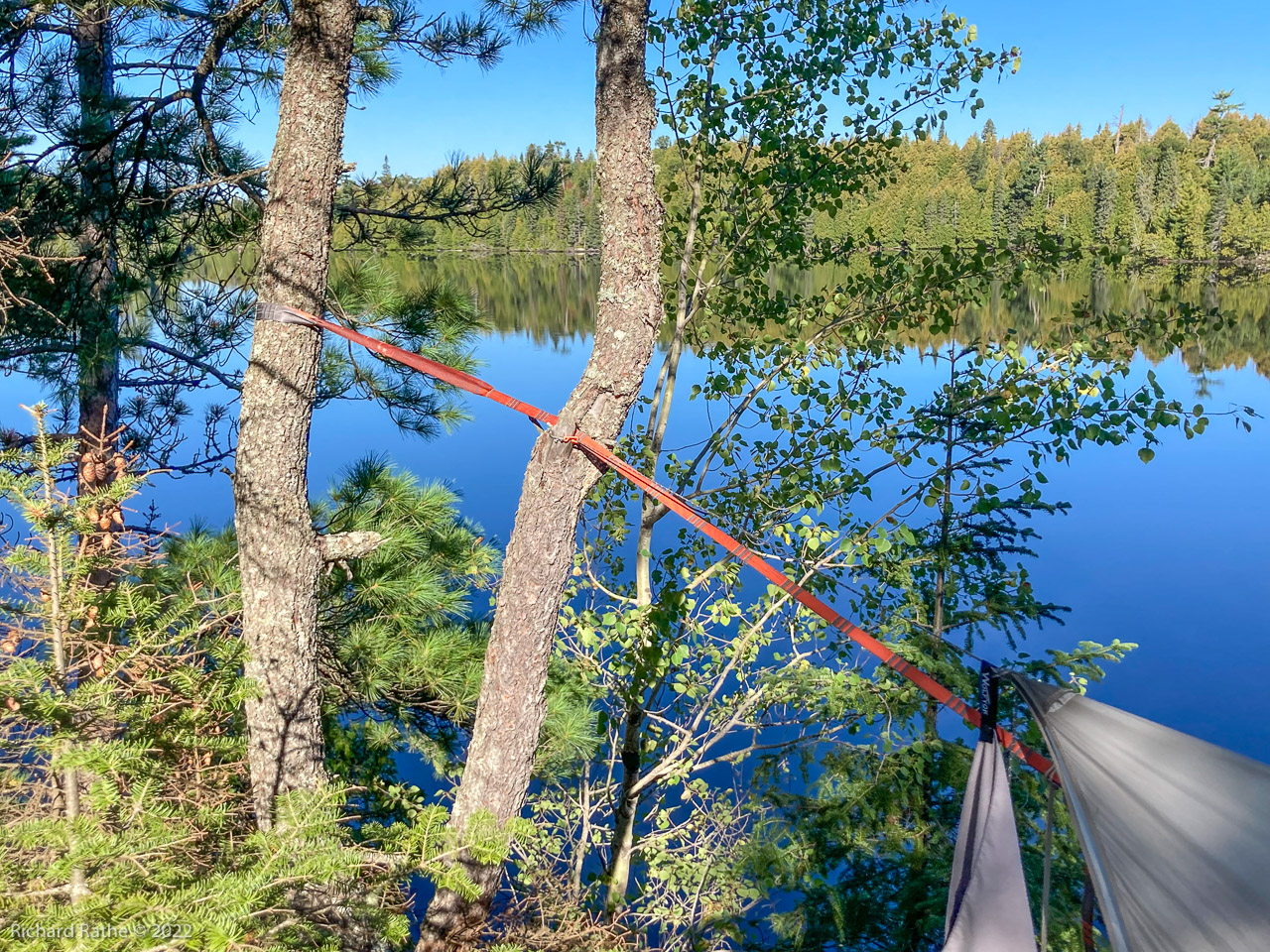 Hammock