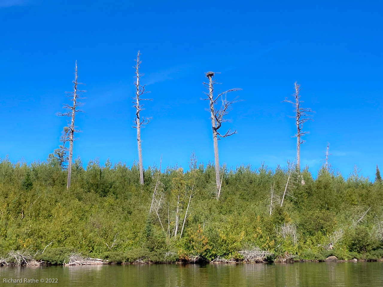 Eagle's Nest, Burned Area