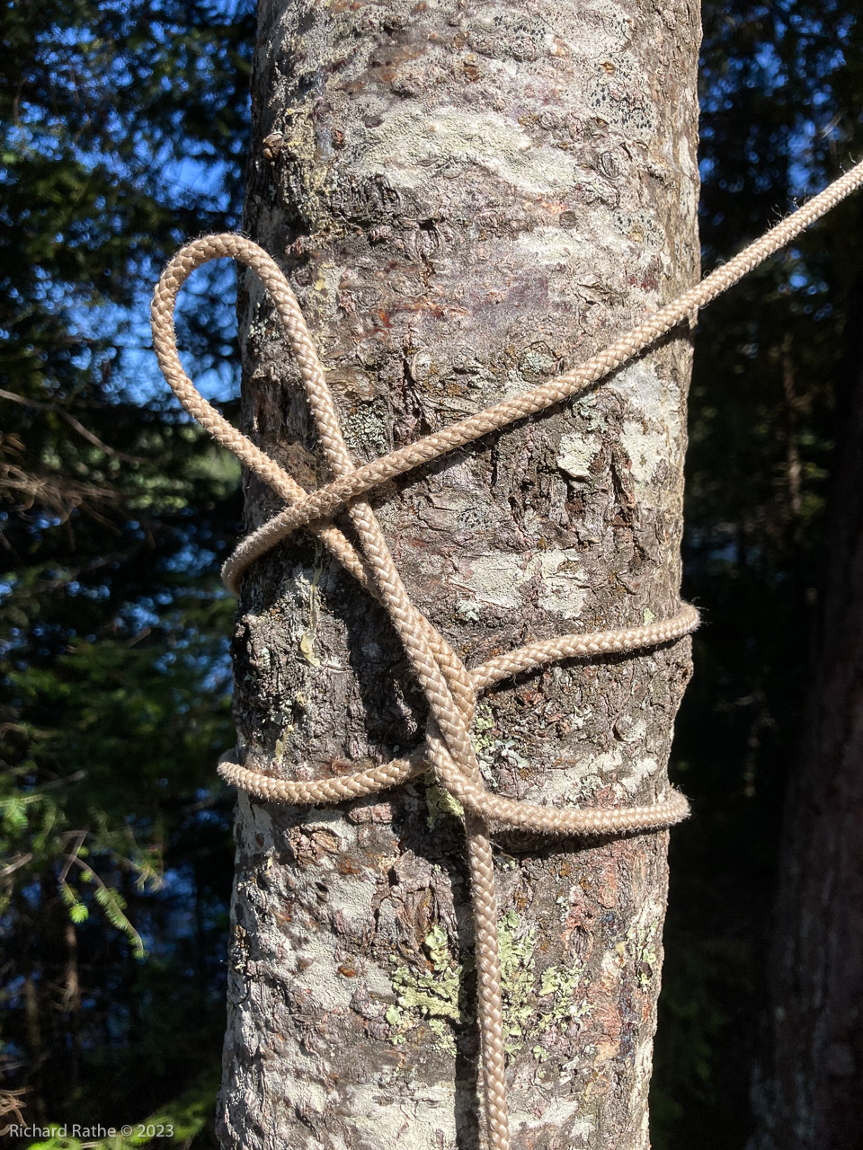 Bear Rope Knot