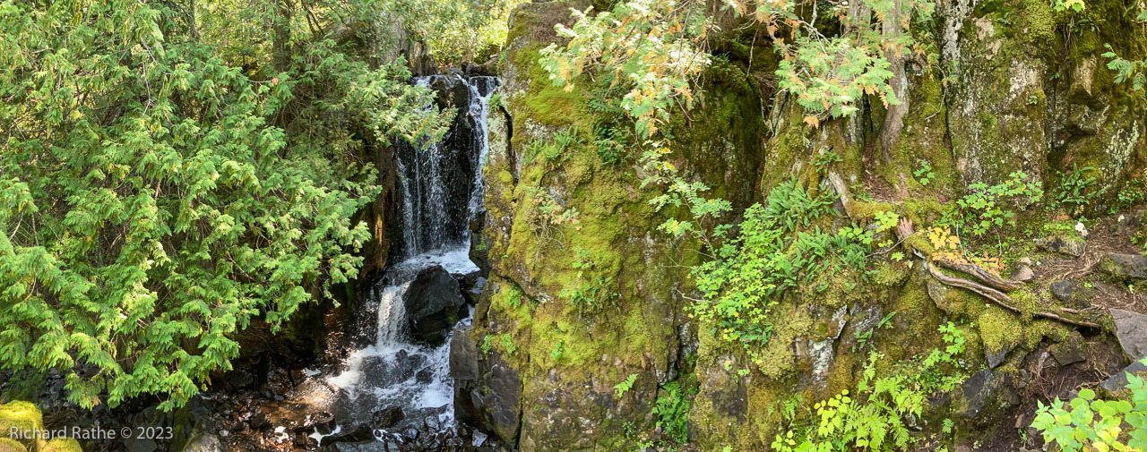 Rose Falls