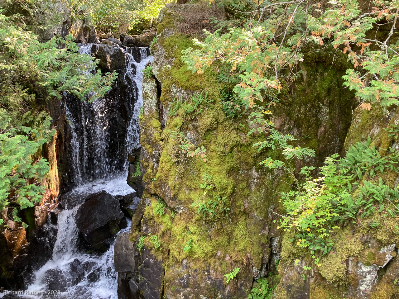 Rose Falls