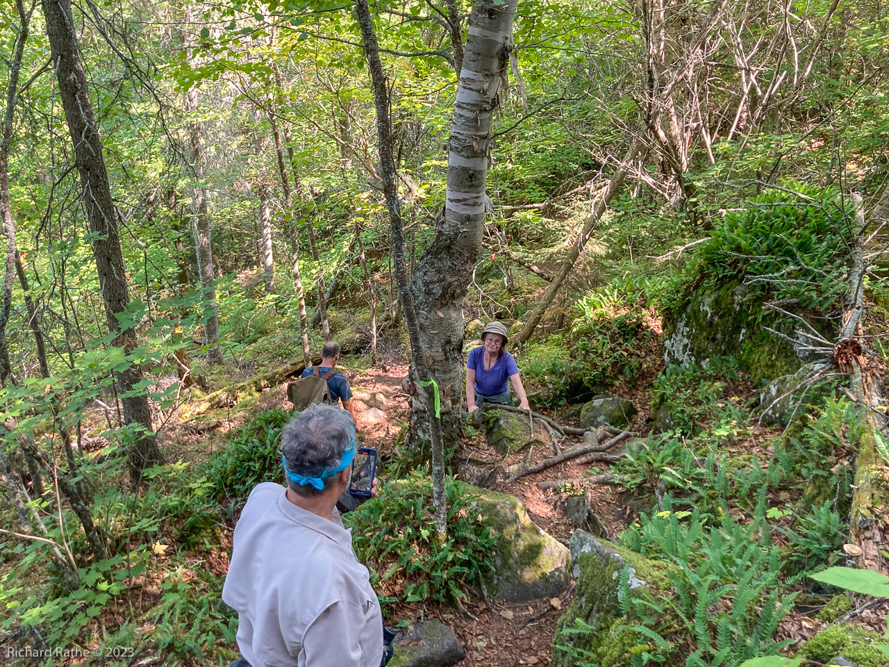 Hiking