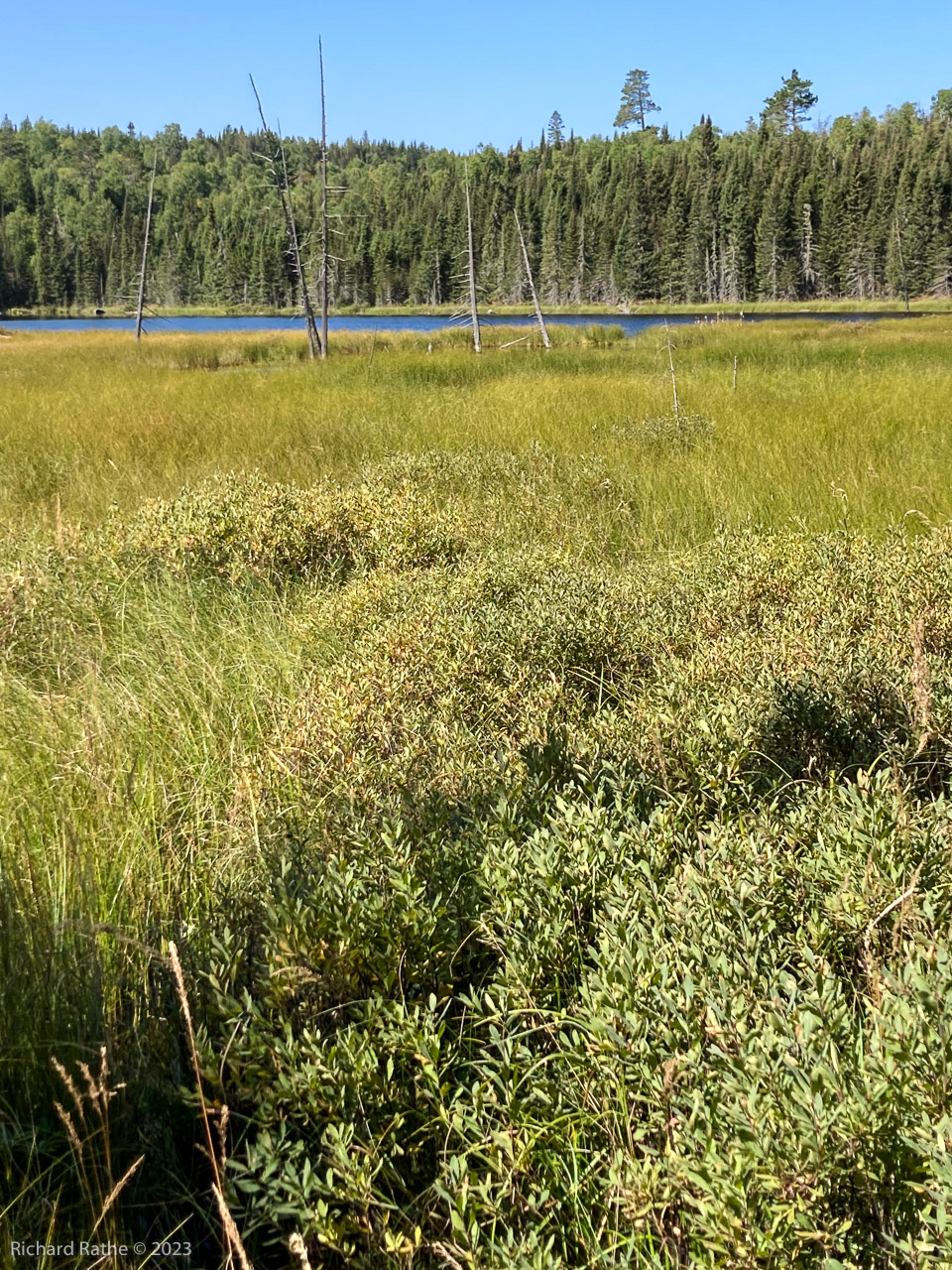 Small Pond