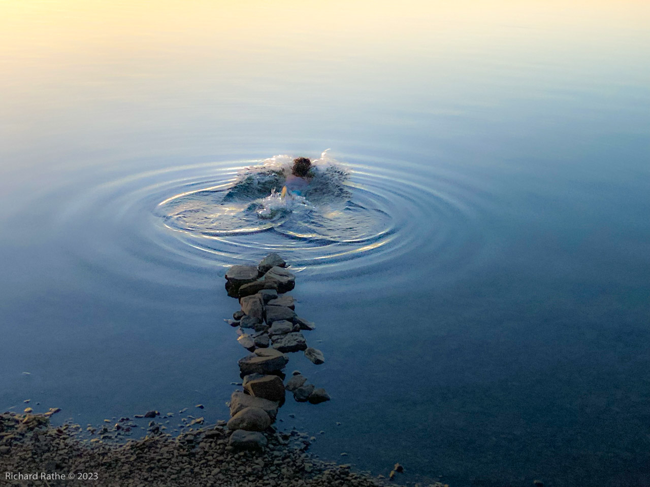 Swimming