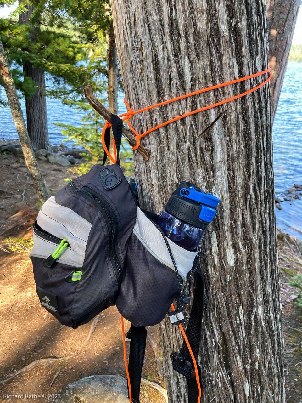 Treehugger Knot