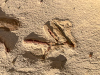 0096 Chaco Canyon 