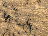 0110 Chaco Canyon 