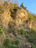 0042 Snake Road 