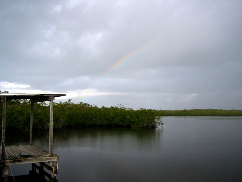 20 South Joe Rainbow