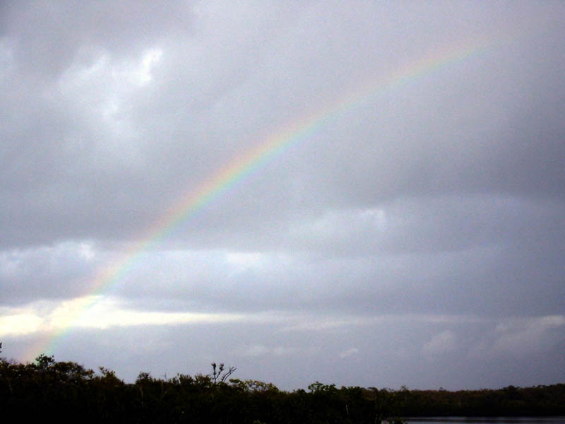21 South Joe Rainbow