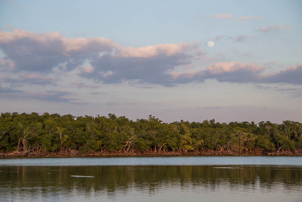Eglades13 122
