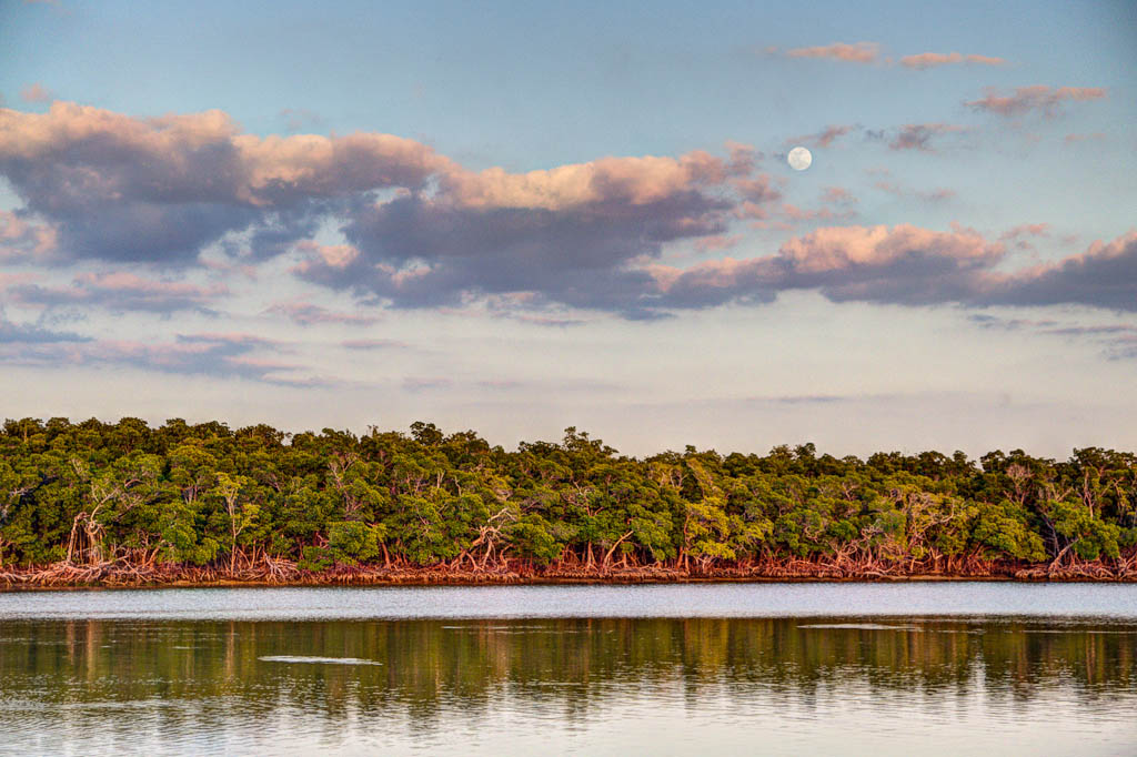 Eglades13 123