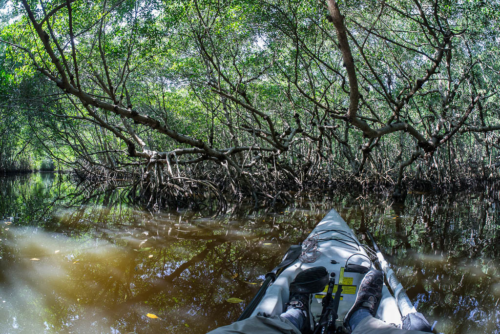 Eglades13 6