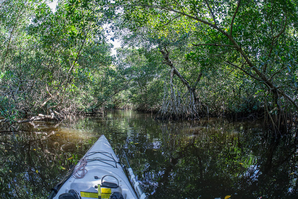 Eglades13 7