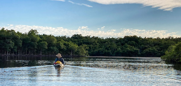 Shark River