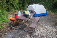 1032 Everglades 2024 Willy Willy Campsite Tent