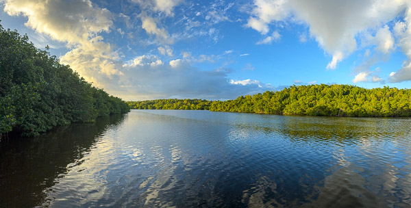 Shark River Panorama