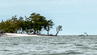 0084 Everglades 2026 