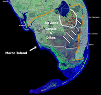 07 South Florida 6 Marco
