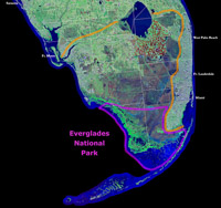 08 South Florida 7 Park