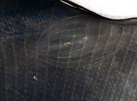50 N Comb Jelly