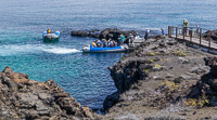 0237 Galapagos 