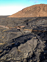 0270 Galapagos 